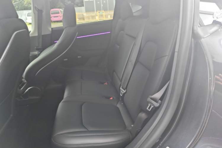 Used Tesla Model Y 2024 Rear-Wheel-Drive Version Left Rear Seat