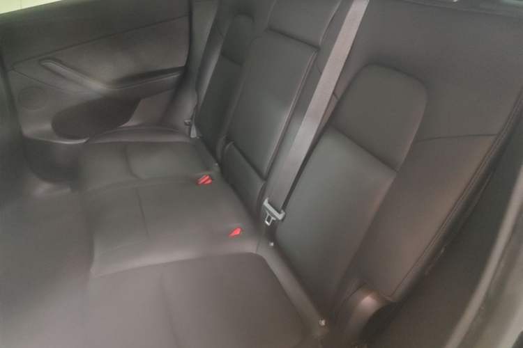 Used Tesla Model Y 2024 Rear-Wheel-Drive Version Left Rear Seat