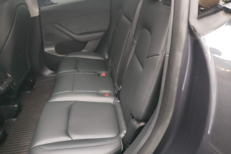 Used Tesla Model Y 2024 Rear-Wheel-Drive Version Left Rear Seat