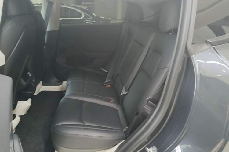 Used Tesla Model Y 2024 Rear-Wheel-Drive Version Left Rear Seat
