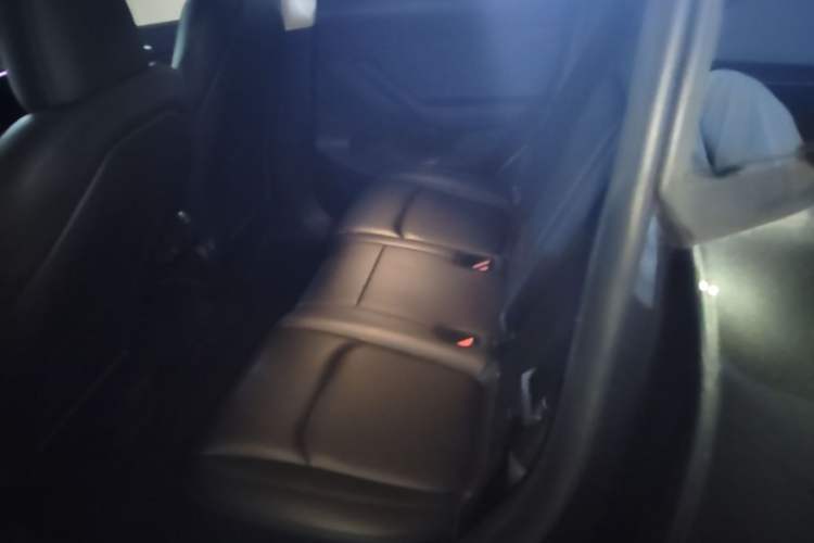 Used Tesla Model Y 2024 Long-Range All-Wheel-Drive Version Left Rear Seat