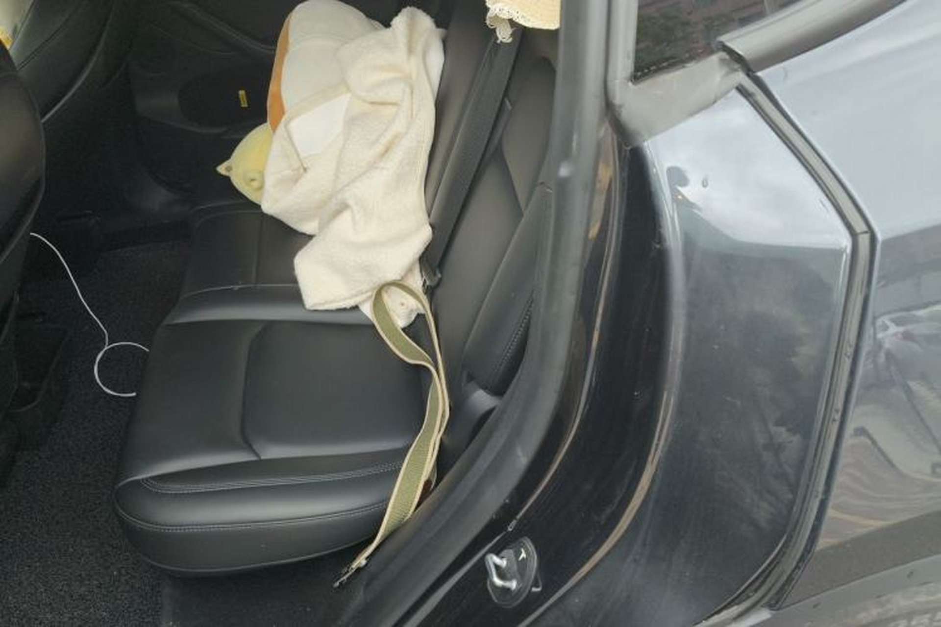 Used Tesla Model Y 2024 Long-Range All-Wheel-Drive Version Left Rear Seat