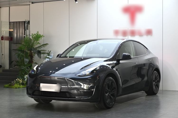 Tesla Model Y 2024 Long-Range All-Wheel-Drive Version