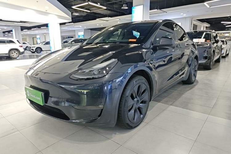 Tesla Model Y 2024 Long-Range All-Wheel-Drive Version