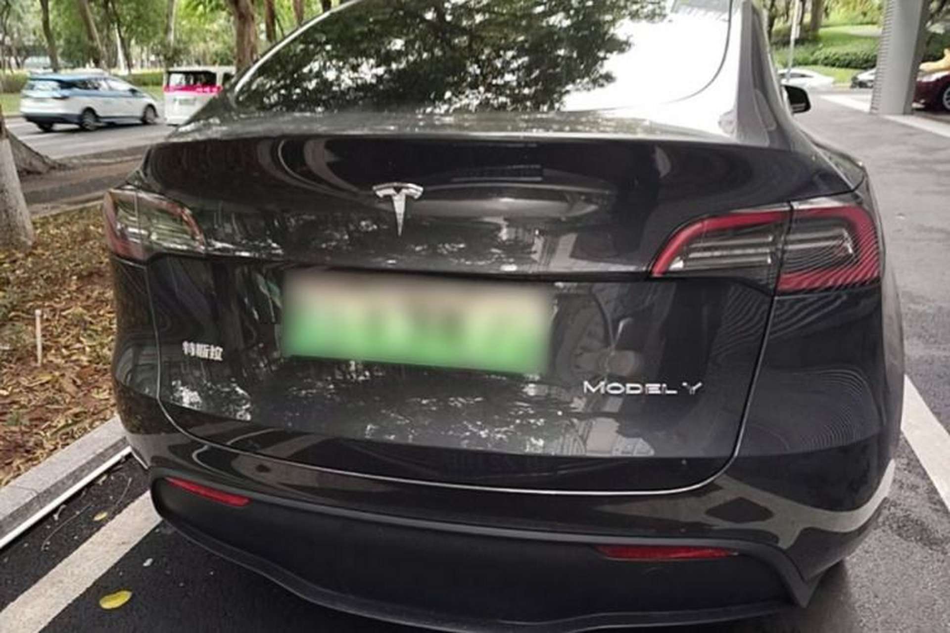 Used Tesla Model Y 2024 Rear-Wheel-Drive Version Rear