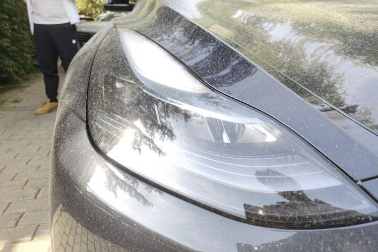Used Tesla Model Y 2024 Rear-Wheel-Drive Version Right Front Headlight