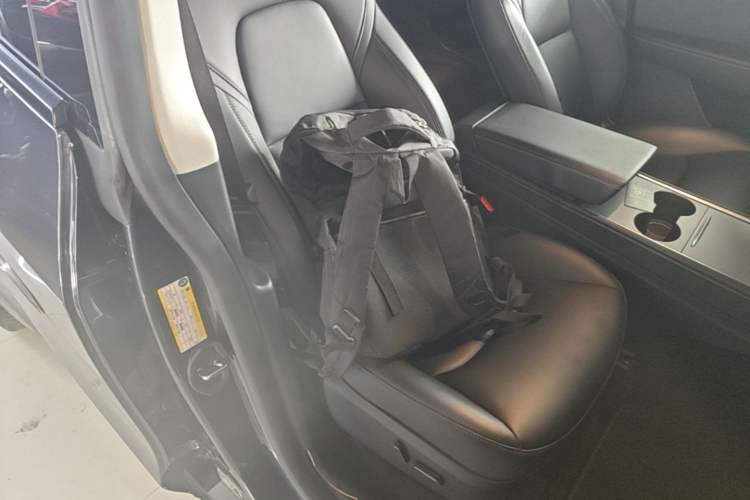 Used Tesla Model Y 2024 Long-Range All-Wheel-Drive Version Right Front Seat