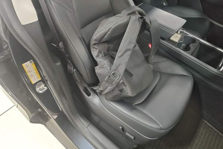 Used Tesla Model Y 2024 Rear-Wheel-Drive Version Right Front Seat