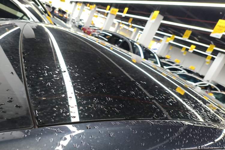 Used Tesla Model Y 2024 Rear-Wheel-Drive Version Roof