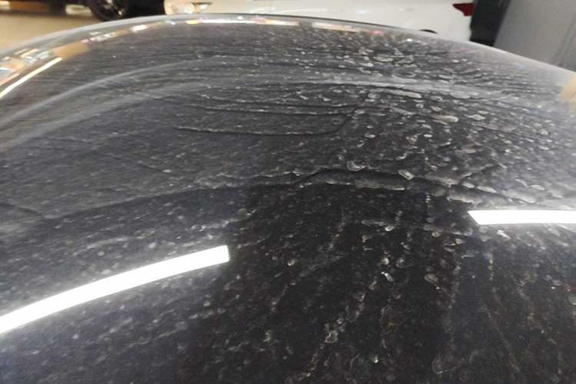 Used Tesla Model Y 2024 Rear-Wheel-Drive Version Roof