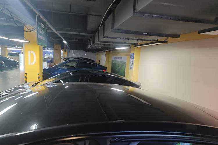 Used Tesla Model Y 2024 Rear-Wheel-Drive Version Roof