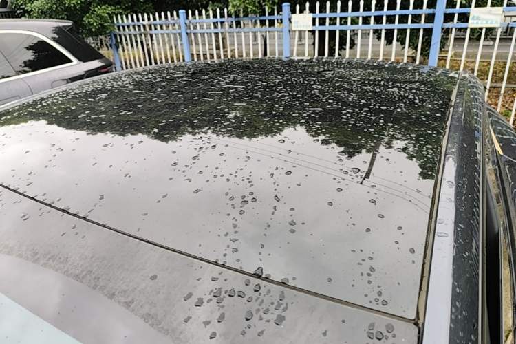 Used Tesla Model Y 2024 Rear-Wheel-Drive Version Roof