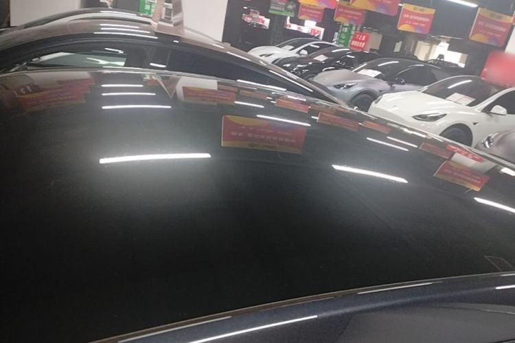 Used Tesla Model Y 2024 Long-Range All-Wheel-Drive Version Roof