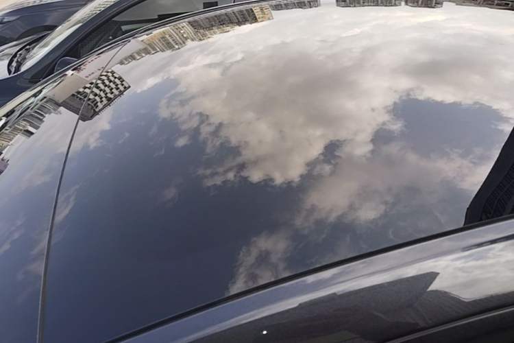 Used Tesla Model Y 2024 Rear-Wheel-Drive Version Roof