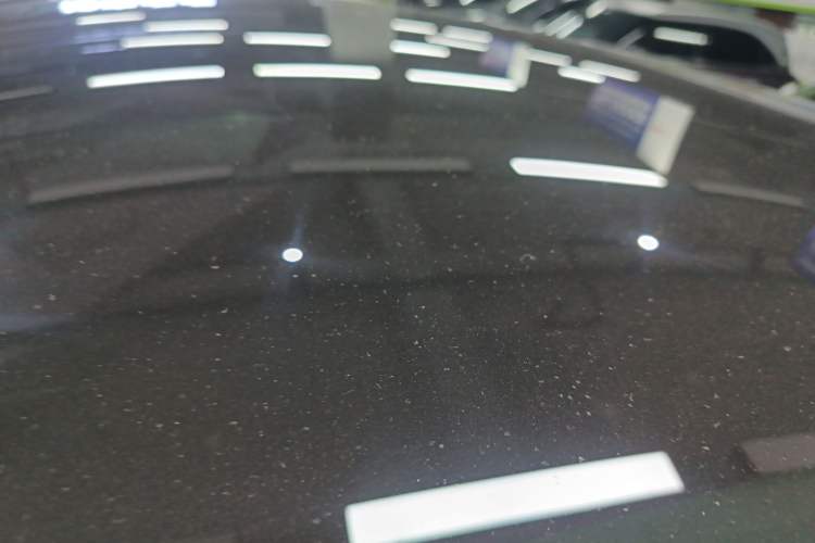 Used Tesla Model Y 2024 Rear-Wheel-Drive Version Roof