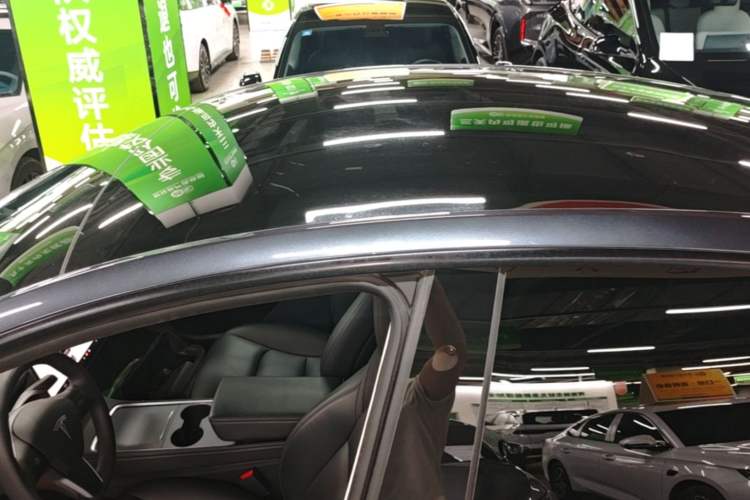 Used Tesla Model Y 2024 Rear-Wheel-Drive Version Roof