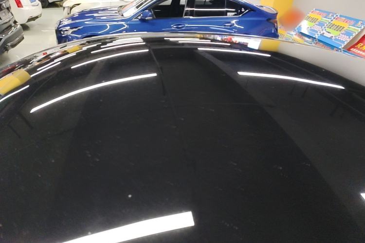 Used Tesla Model Y 2024 Rear-Wheel-Drive Version Roof