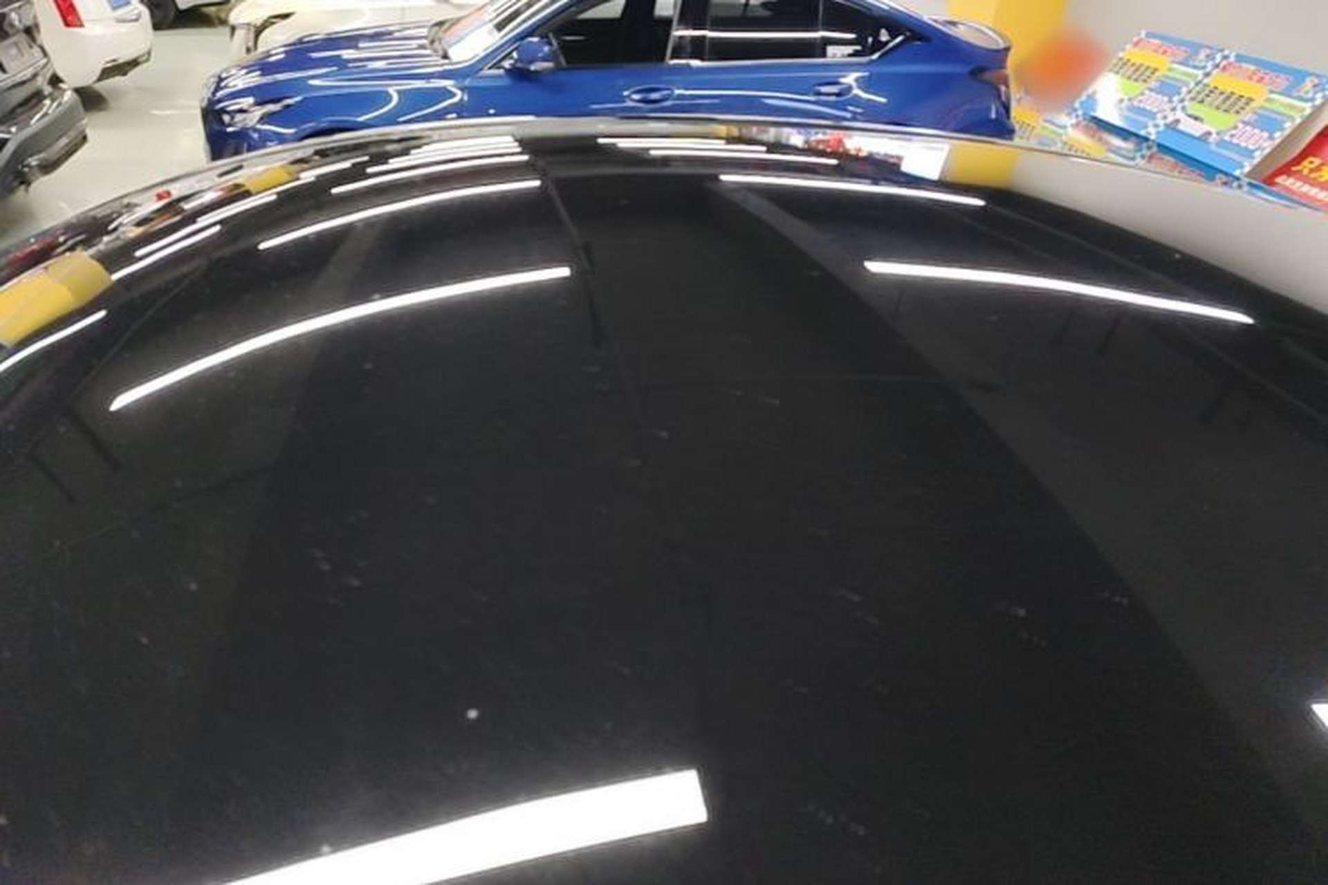 Used Tesla Model Y 2024 Rear-Wheel-Drive Version Roof