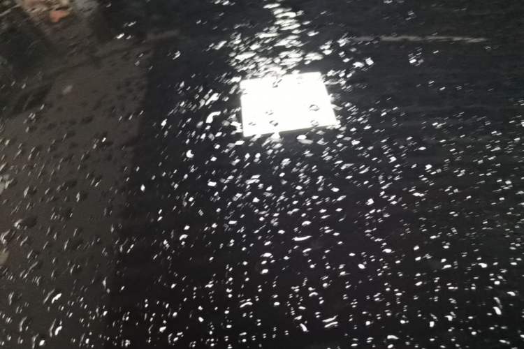 Used Tesla Model Y 2024 Rear-Wheel-Drive Version Roof