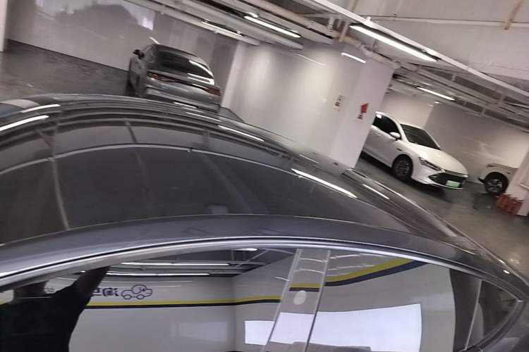 Used Tesla Model Y 2024 Rear-Wheel-Drive Version Roof