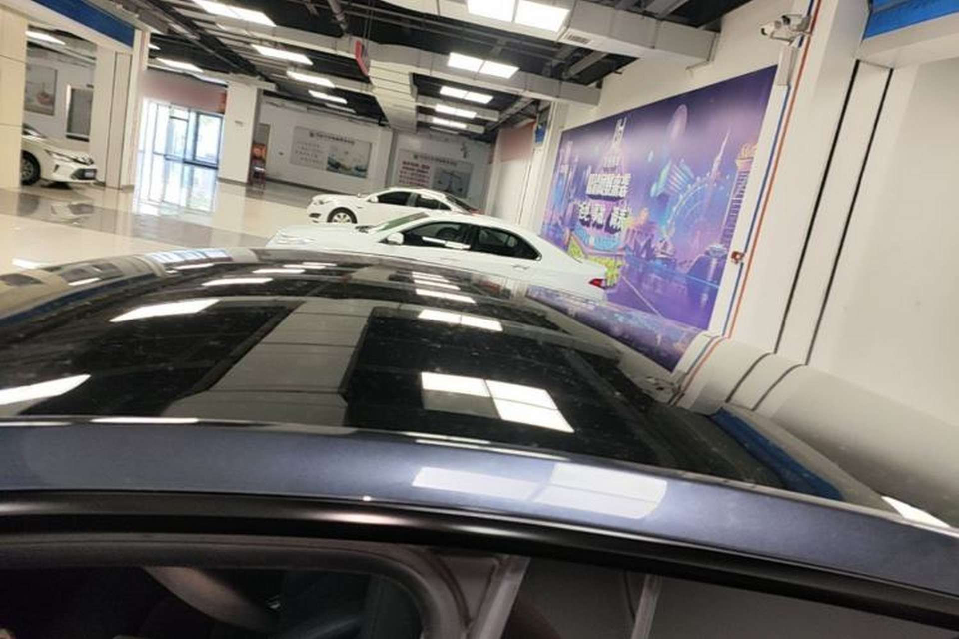 Used Tesla Model Y 2024 Rear-Wheel-Drive Version Roof