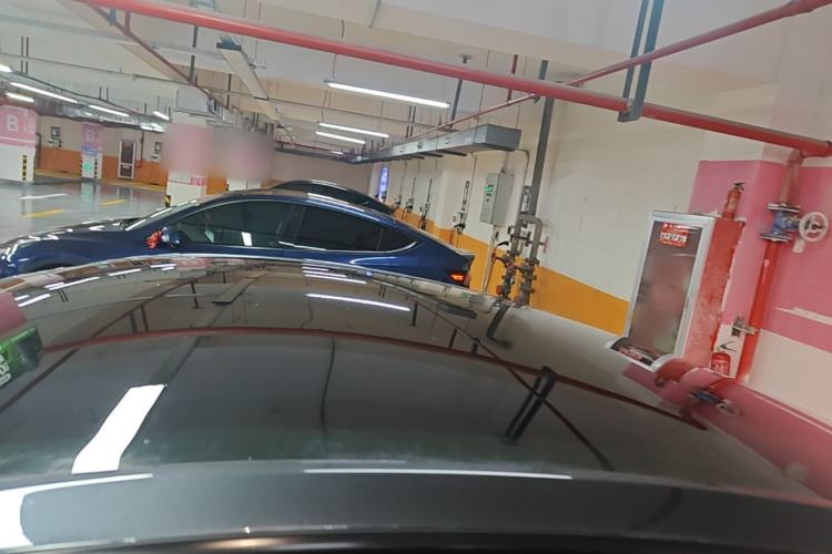 Used Tesla Model Y 2024 Rear-Wheel-Drive Version Roof