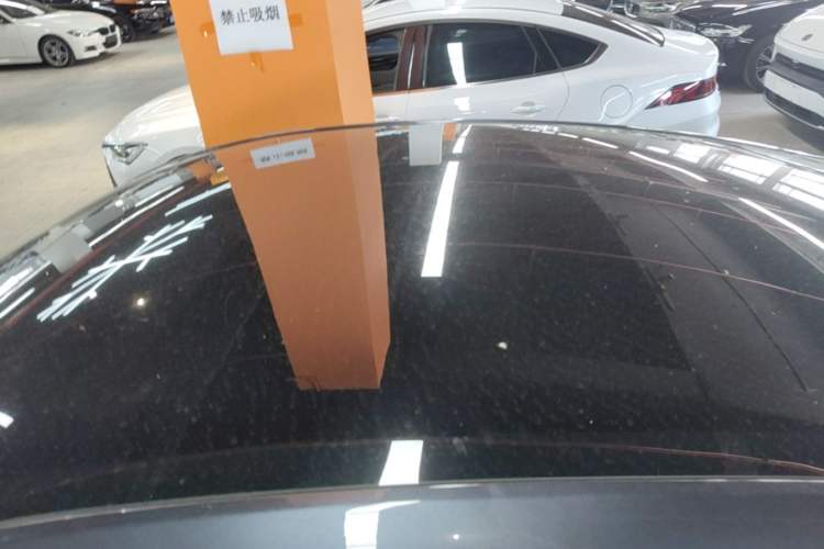 Used Tesla Model Y 2024 Rear-Wheel-Drive Version Roof
