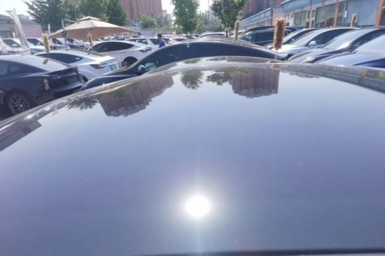 Used Tesla Model Y 2024 Rear-Wheel-Drive Version Roof