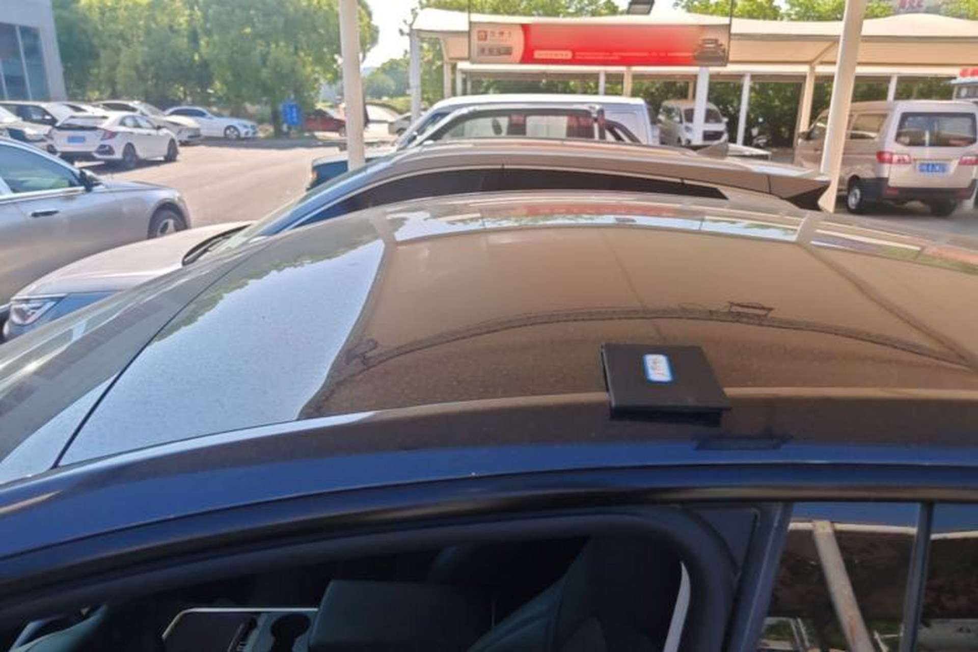 Used Tesla Model Y 2024 Rear-Wheel-Drive Version Roof