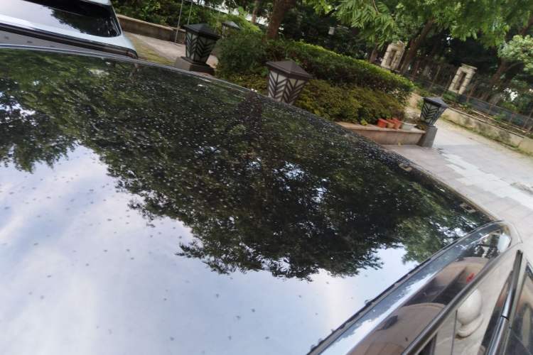 Used Tesla Model Y 2024 Rear-Wheel-Drive Version Roof