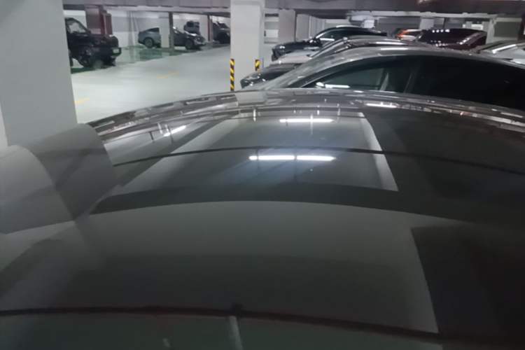 Used Tesla Model Y 2024 Rear-Wheel-Drive Version Roof
