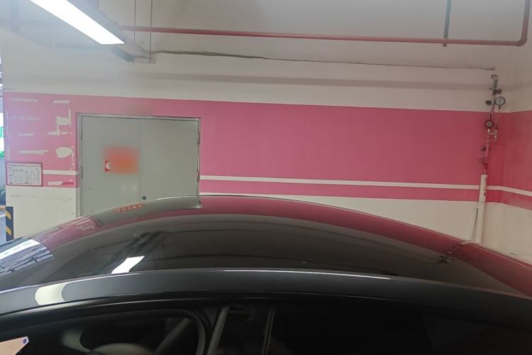 Used Tesla Model Y 2024 Rear-Wheel-Drive Version Roof