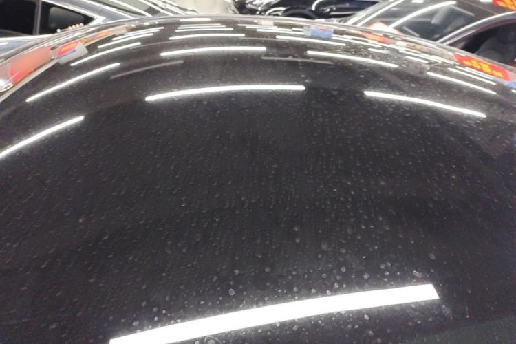 Used Tesla Model Y 2024 Rear-Wheel-Drive Version Roof