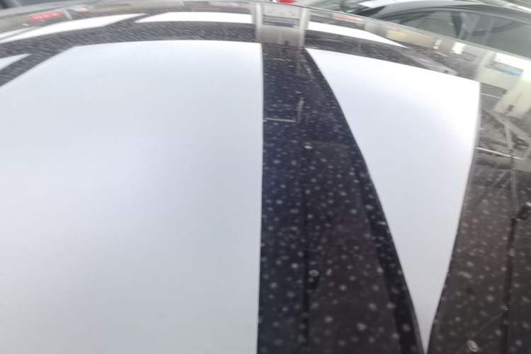 Used Tesla Model Y 2024 Rear-Wheel-Drive Version Roof