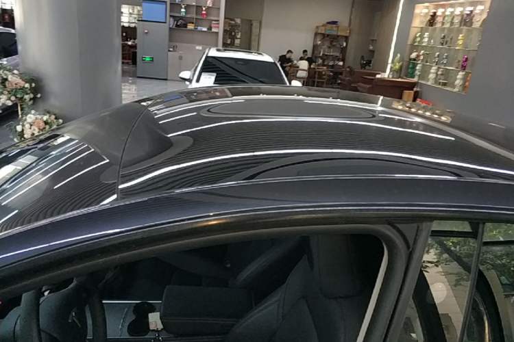 Used Tesla Model Y 2024 Long-Range All-Wheel-Drive Version Roof