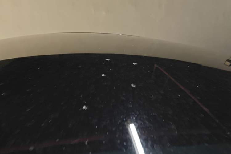 Used Tesla Model Y 2024 Rear-Wheel-Drive Version Roof