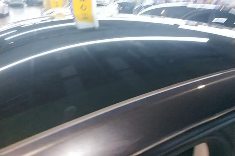 Used Tesla Model Y 2024 Rear-Wheel-Drive Version Roof
