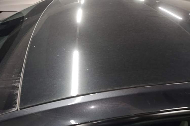 Used Tesla Model Y 2024 Rear-Wheel-Drive Version Roof