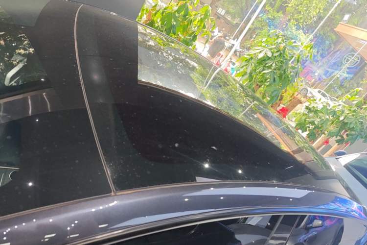 Used Tesla Model Y 2024 Rear-Wheel-Drive Version Roof