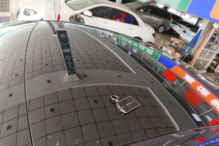 Used Tesla Model Y 2024 Rear-Wheel-Drive Version Roof
