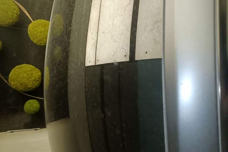 Used Tesla Model Y 2024 Rear-Wheel-Drive Version Roof