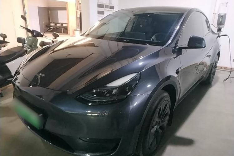 Tesla Model Y 2024 Rear-Wheel-Drive Version