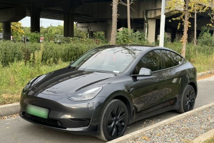 Tesla Model Y 2024 Rear-Wheel-Drive Version