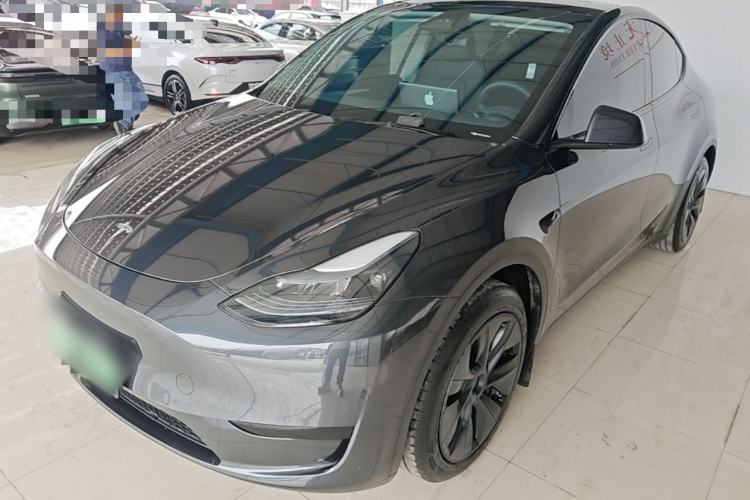 Tesla Model Y 2024 Rear-Wheel-Drive Version