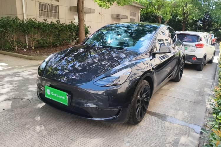 Tesla Model Y 2024 Long-Range All-Wheel-Drive Version
