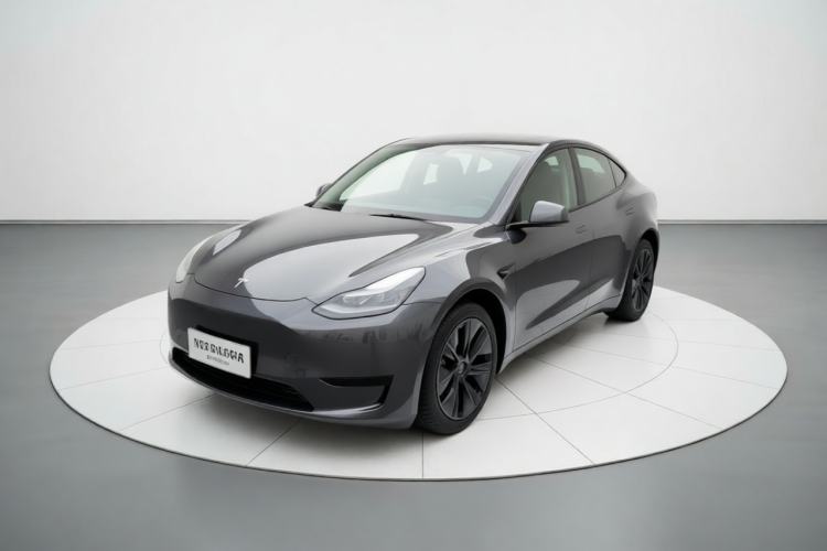 Tesla Model Y 2024 Rear-Wheel-Drive Version