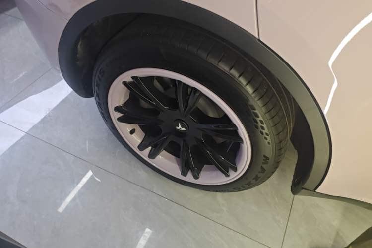 Used Tesla Model Y 2024 Rear-Wheel-Drive Version Exterior 5