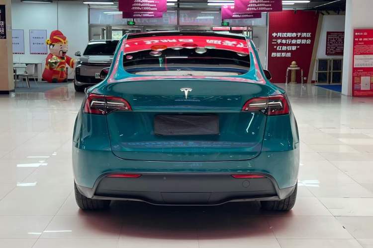 Used Tesla Model Y 2024 Rear-Wheel-Drive Version Exterior 6