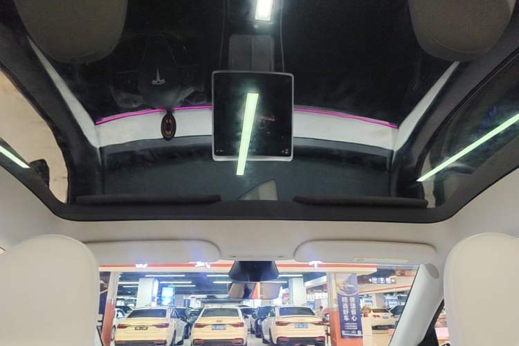 Used Tesla Model Y 2024 Rear-Wheel-Drive Version Headliner