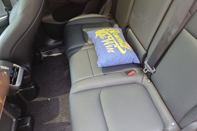 Used Tesla Model Y 2024 Rear-Wheel-Drive Version Left Rear Seat